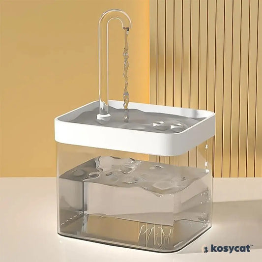 image de la fontaine à eau pour chat compactwater