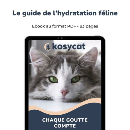 image ebook le guide de l'hydratation féline
